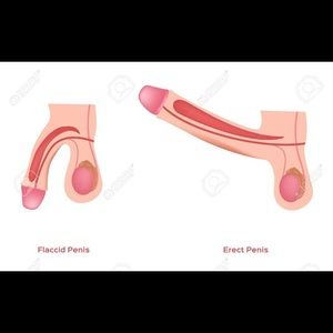 Meet your Posher, Ethan